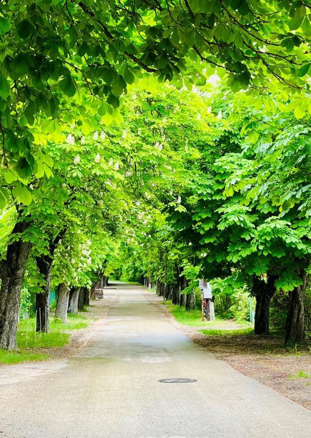 Aranygesztenye Apartmanház Balatonudvari Exterior foto